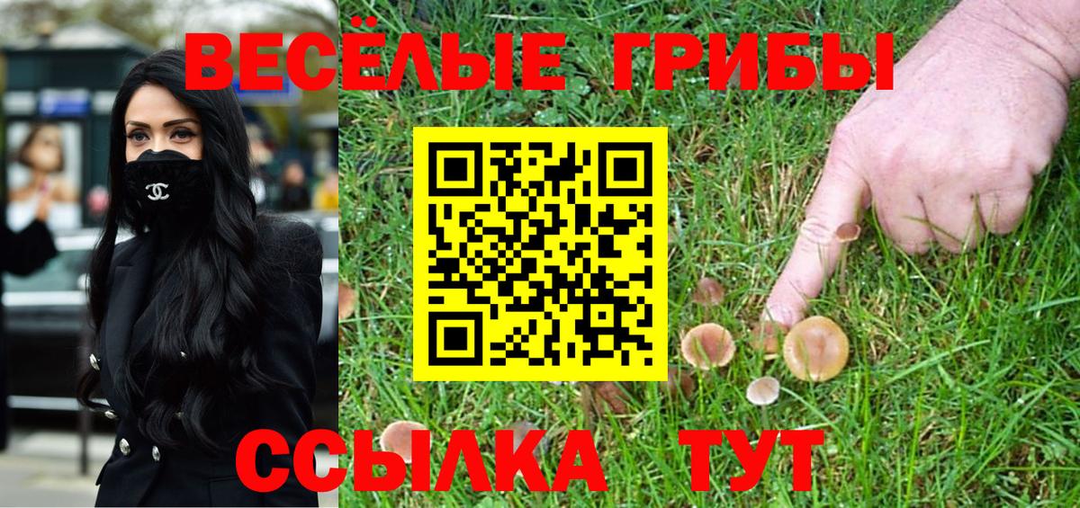 Галлюциногенные грибы MAGIC MUSHROOMS  продажа наркотиков  Зима  Вход с VPN 